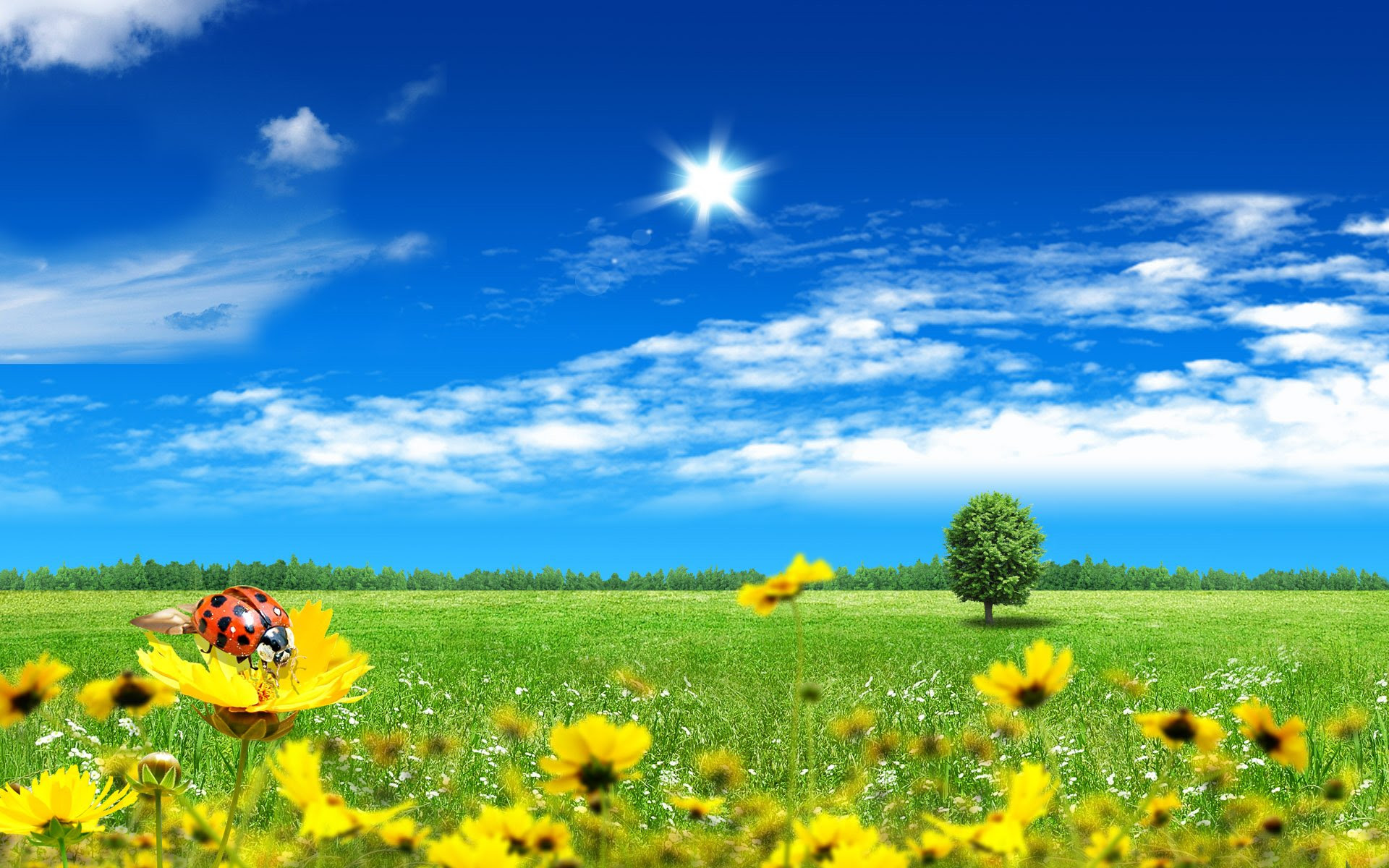 Most Demanded Wallpapers Myspace