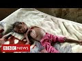 New video by BBC News on YouTube
