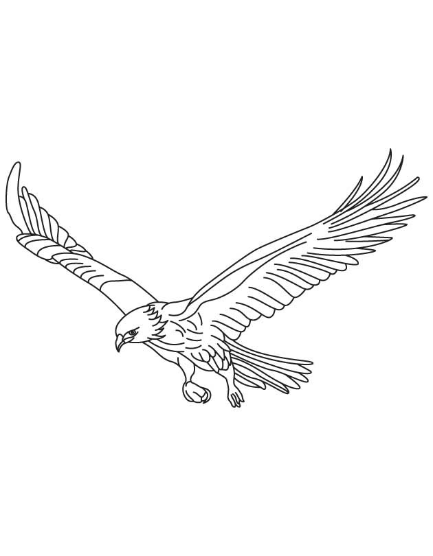 Download Flying Crow Drawing at GetDrawings | Free download