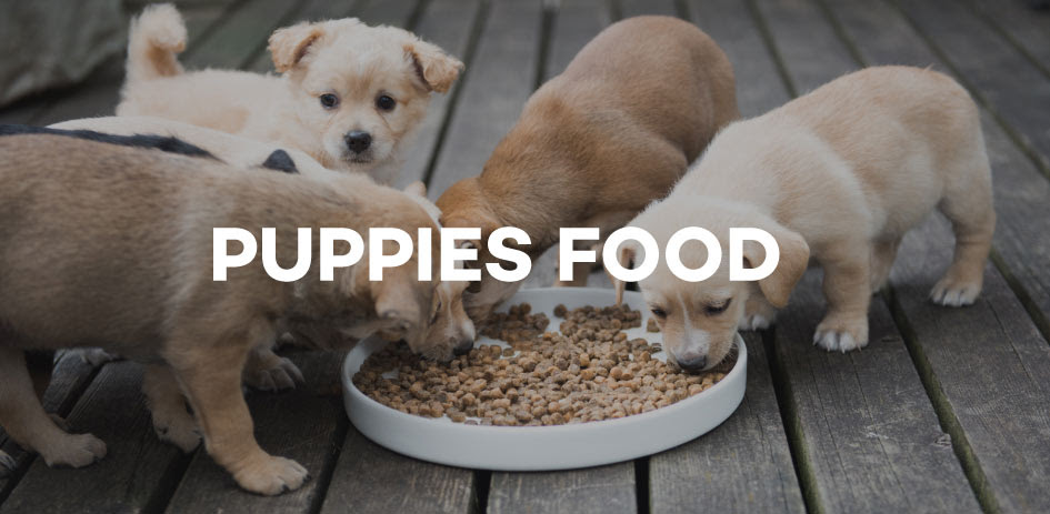 Dog Food for sale - Puppy Food prices & brands in ...