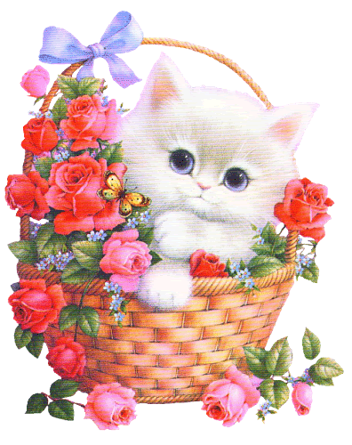 http://d4.violet.vn/uploads/blogs/738751/hoavameocon_500.gif
