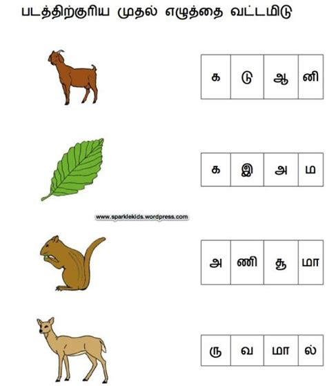 Tamil lessons, preschool lessons, alphabet, numbers, colors, fruits, vegetables. sample tamil worksheets worksheets handwriting worksheets for