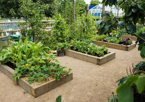 wooden planter boxes for gardens and patios