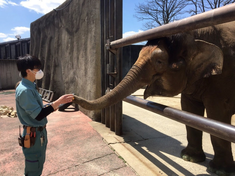 福山市立動物園 飼育員ブログ