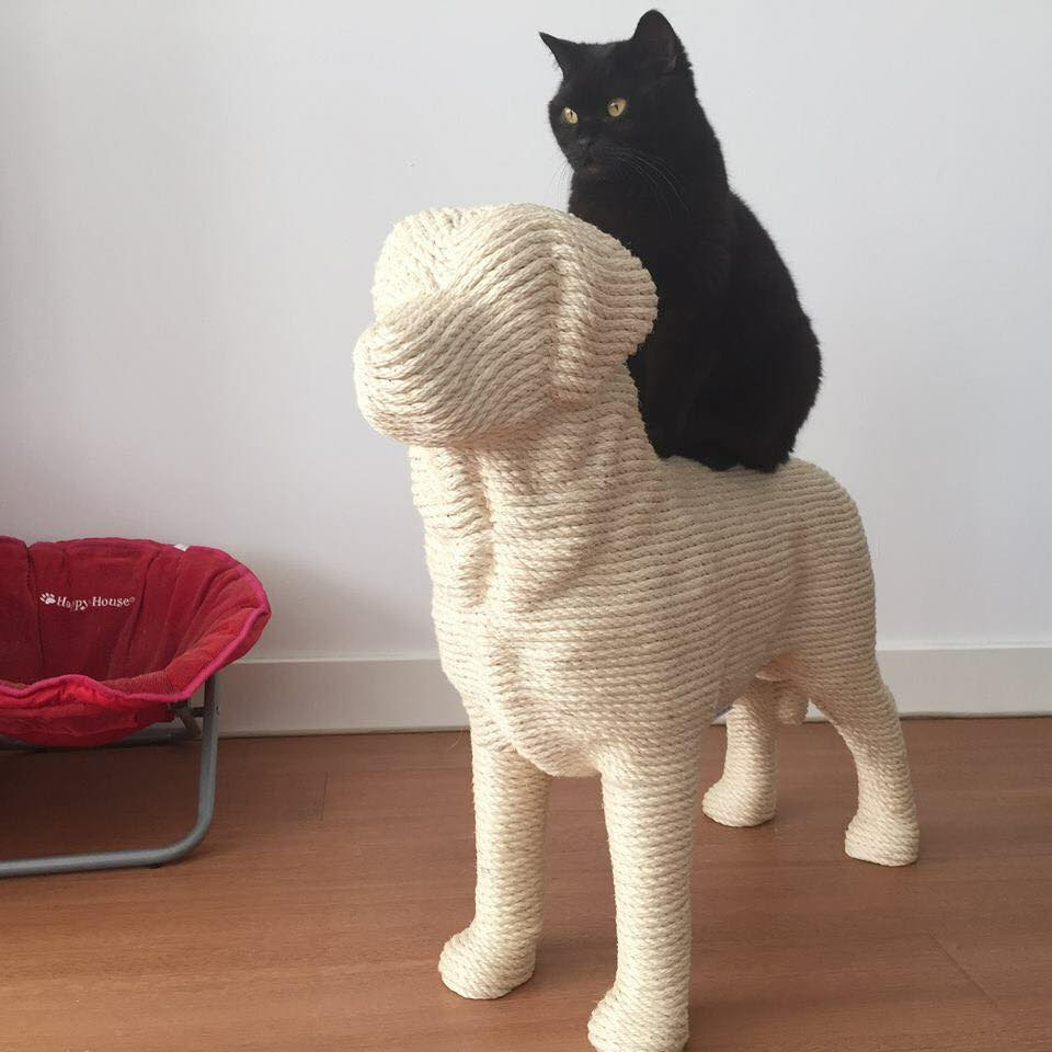 爪とぎを犬型にすると猫は大はしゃぎする Netgeek