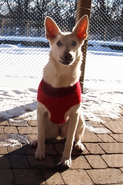 Maggie's sweater