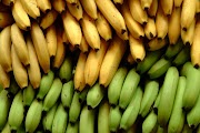 23+ Pisang Moyen In English, Ide Instimewa!