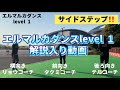 [最も人気のある！] ロク fc 山本 監督 ブログ 494077-ロク fc 山本 監督 ブログ