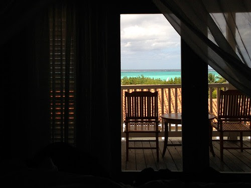 morning view