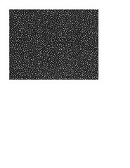 A2 card size JPG Snow Dot Midnight paper SMALL SCALE