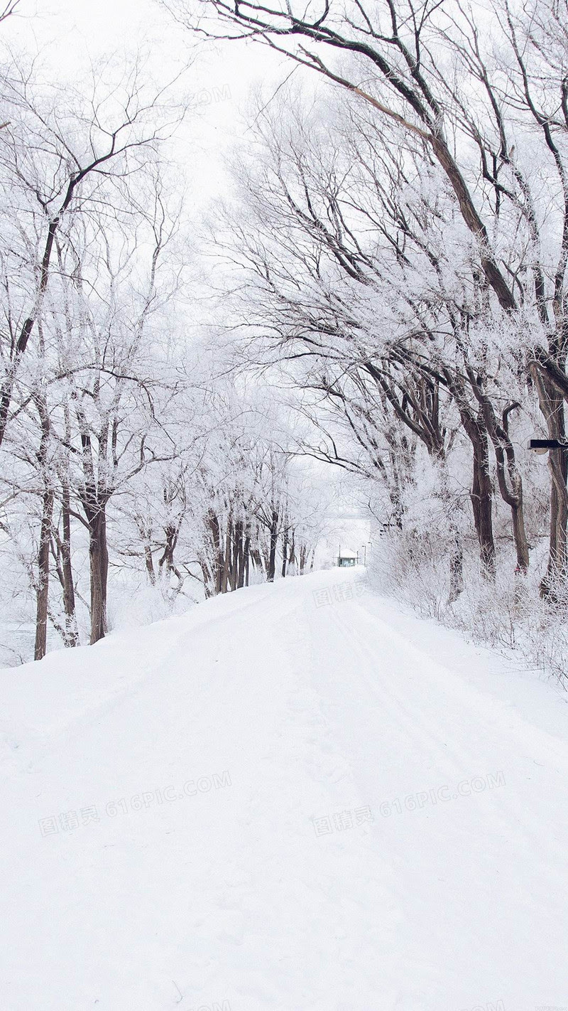 冬天下雪背景图片下载 免费高清冬天下雪背景设计素材 图精灵