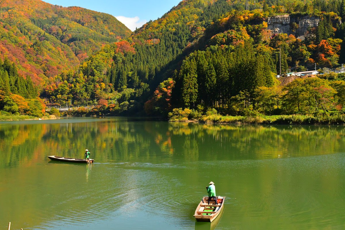 日航pak 東北紅葉至極絕景 白神山地 五能線白神號 霧幻峽原風景七日 良友旅行社