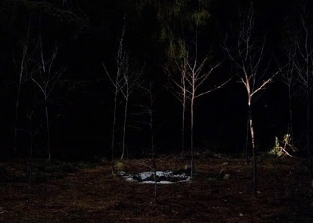 Walking in the Woods to The Black Lodge entrance at 