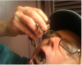This image of a man eating worms is similar to one that was shown to subjects in the study. Source: Kevin B. Smith, et al., 'Disgust Sensitivity and the Neurophysiology of Left-Right Political Orientations,' www.plosone.org, Oct. 19, 2011 This image of a man eating worms is similar to one that was shown to subjects in the study. Source: Kevin B. Smith, et al., 'Disgust Sensitivity and the Neurophysiology of Left-Right Political Orientations,' www.plosone.org, Oct. 19, 2011