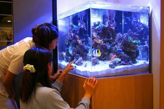 病院 クリニックへの水槽導入例 水槽レンタルサービス東京