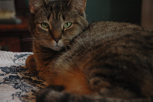 Lucy