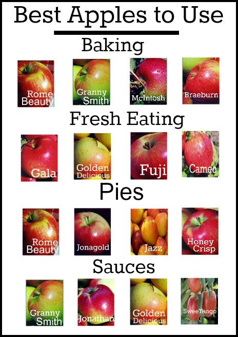 Best Apples To Use In Baking