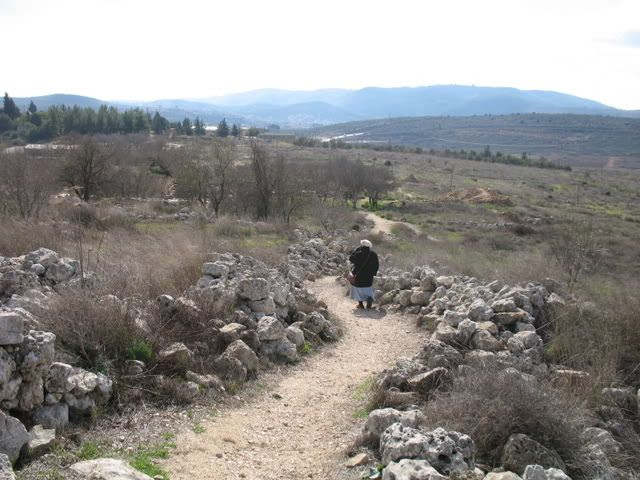 Tel Shiloh, the paths