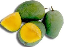 Khasiat mangga :
Para ahli meyakini mangga adalah sumber karotenoid yang disebut beta crytoxanthin, yaitu bahan penumpas kanker yang baik.
Mangga juga kaya vitamin antioksidan seperti vitamin C dan E. Satu buah mangga mengandung tujuh gram serat yang dapat membantu sistem pencernaan. Sebagian besar serat larut dalam air dan dapat menjaga kolesterol agar tetap normal.
Mangga memiliki sifat kimia dan efek farmakologis tertentu, yaitu bersifat pengelat (astringent), peluruh urine, penyegar, penambah napsu makan, pencahar ringan, peluruh dahak dan antioksidan.
Kandungan asam galat pada mangga sangat baik untuk saluran pencernaan. Sedangkan kandungan riboflavinnya sangat baik untuk kesehatan mata, mulut, dan tenggorokan.
Mangga pun berkhasiat membantu menyembuhkan berbagai penyakit, diantaranya radang kulit, influenza, asma, gangguan pengelihatan, gusi berdarah, radang tenggorokan, radang saluran napas, sesak napas dan borok. Selain itu juga bisa mengatasi bisul, kudis, eksim, perut mulas, diare, mabuk perjalanan, cacingan, kurang nafsu makan, keputihan, gangguan menstruasi, hernia dan rematik.
