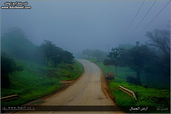 تقرير مصور : صلالة ... أرض الجمال ...