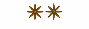 create animated gif