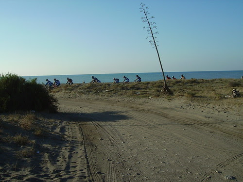 bike2091