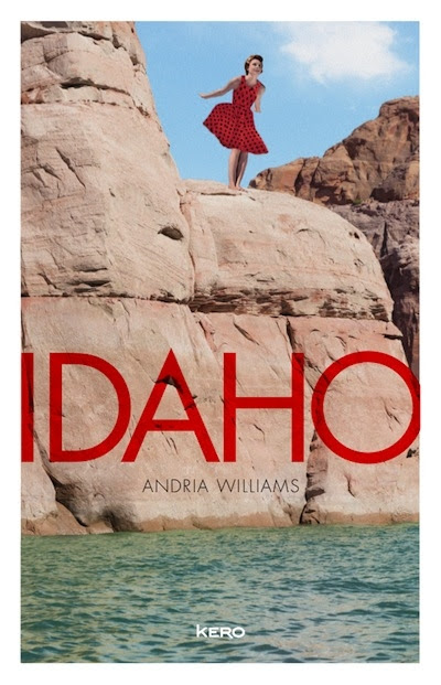 Couverture Idaho
