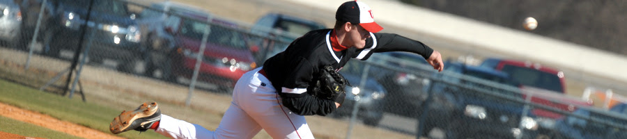 naia  stats baseball