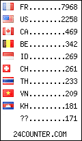visitors by country counter