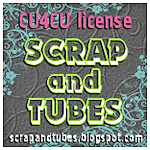  photo Scrap and Tubes_CU4CU License.png