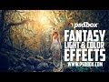 Fairytale Forest - Color and Light Effects Tutorial