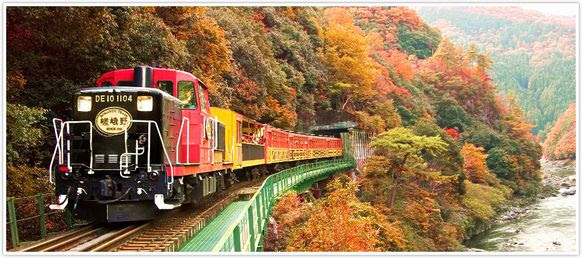 紅葉のライトアップ京都嵯峨野トロッコ列車はいつ 乗車券の予約は お役立ち情報館