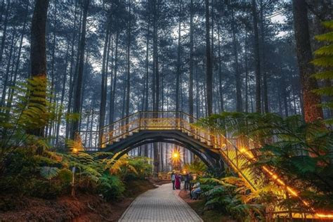 destinasi wisata unggulan  lembang  wajib dikunjungi