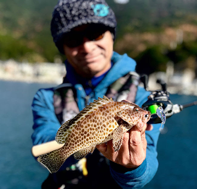 ソルトのベイトフィネスってどうなのですか Keep Casting Leon S Style Fishing