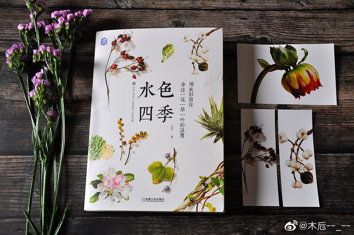 我的新书 水色四季 用水彩留住身边一花一草一叶的温度 水色四季 新书 一花一草 新浪新闻