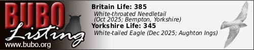 Record, share and compare with BUBO Listing at www.bubo.org