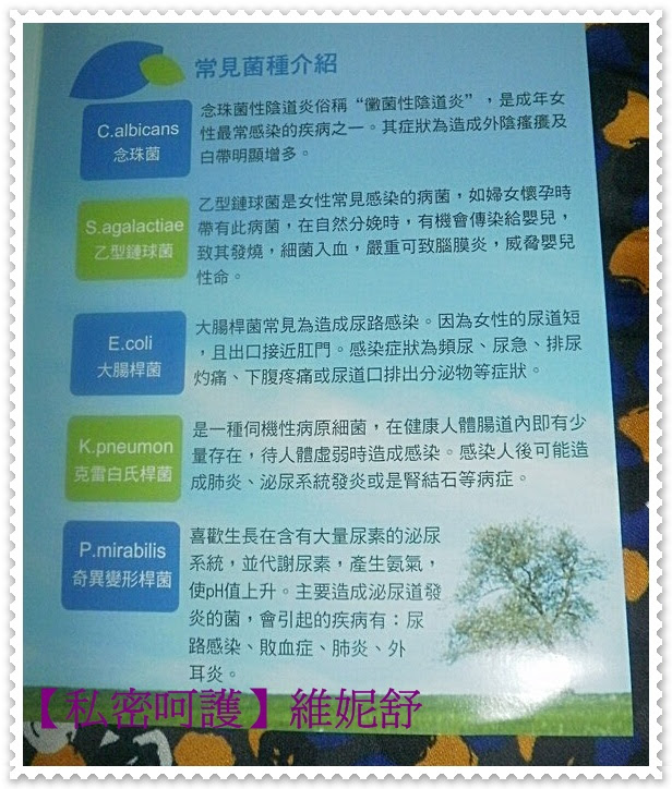 【私密呵護】維妮舒8.JPG