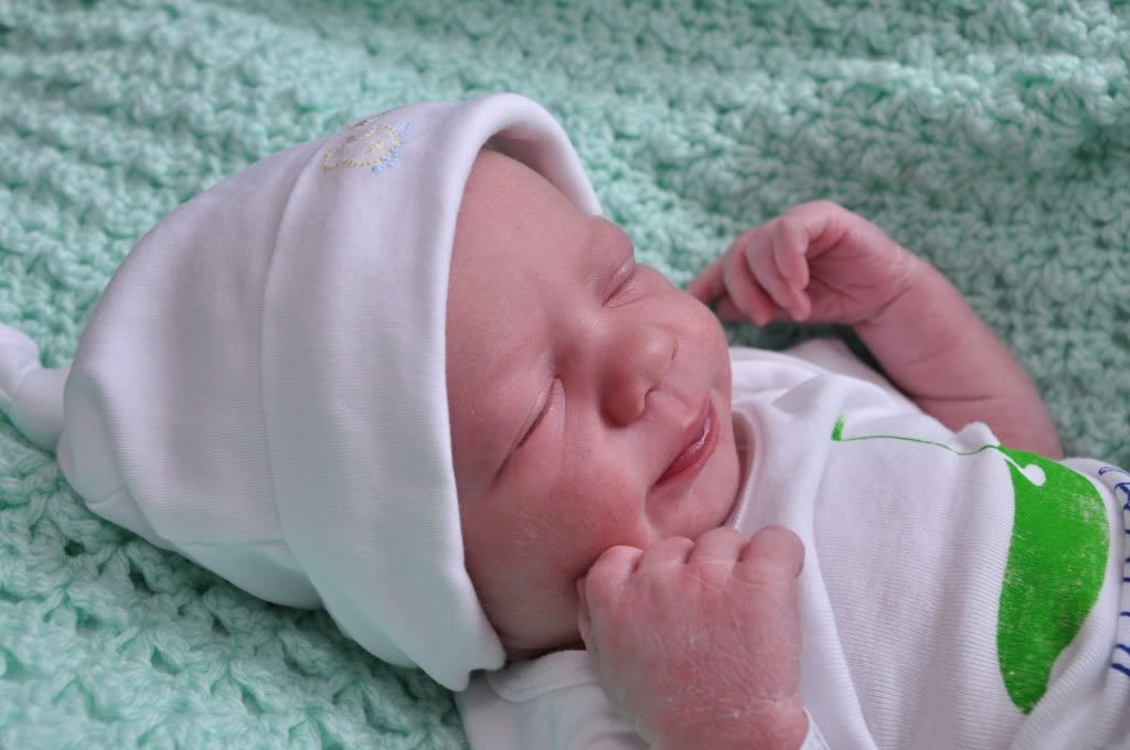 Our Newest Shaw