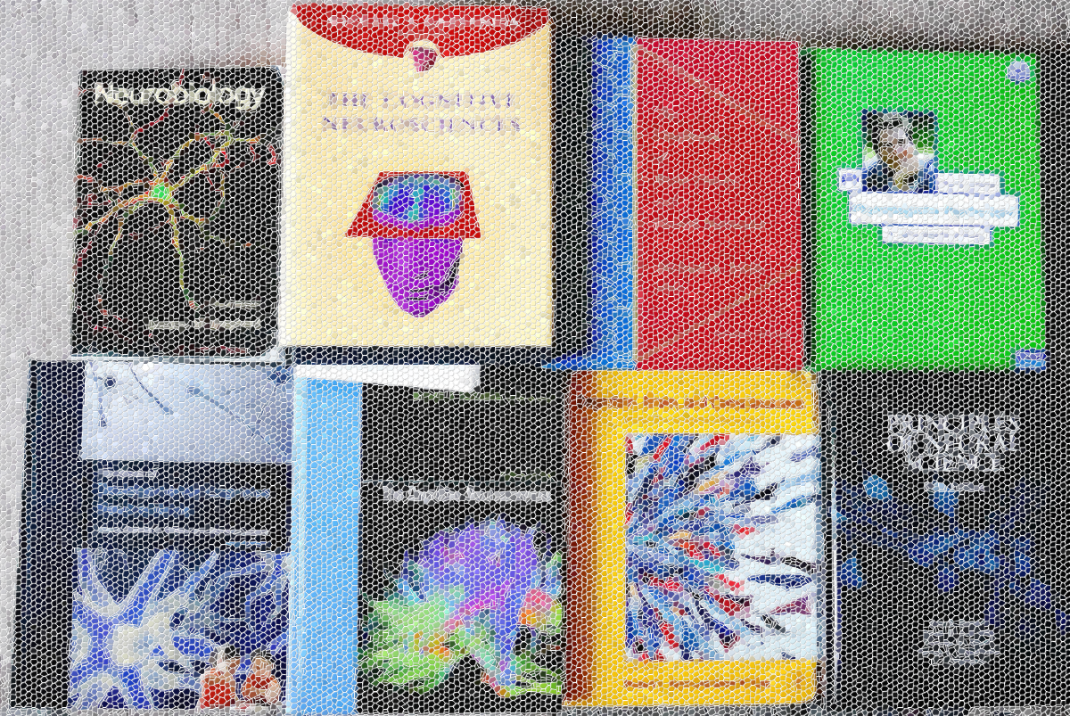 The Handbook Of Brain Theory And Neural Networks MIT Press