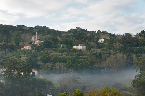 DSC05934