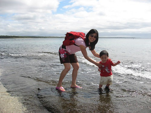 Jervis Bay - Shark's End