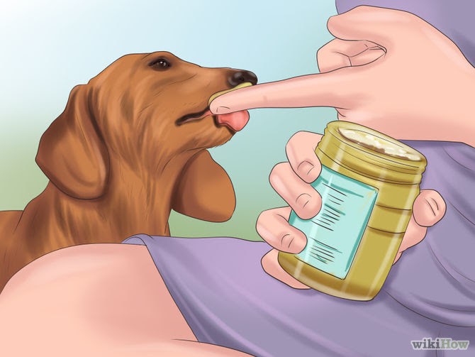 Keep Your Dog's Breath Fresh Step 2 Version 2.jpg