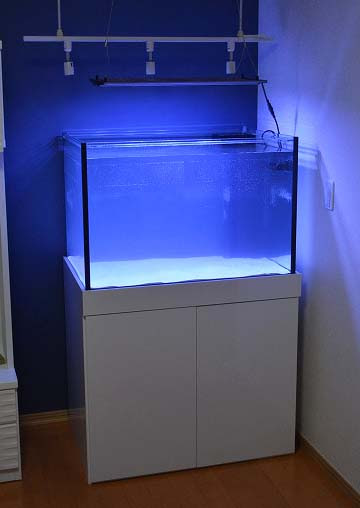 濾過槽 クーラーを外へ出す特注水槽 生麦海水魚センター別館