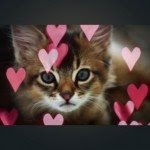 LightPic_3