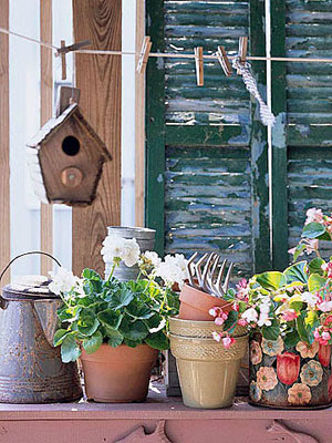 plants with one birdhouse