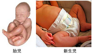 ベビースリングの使い方動画集