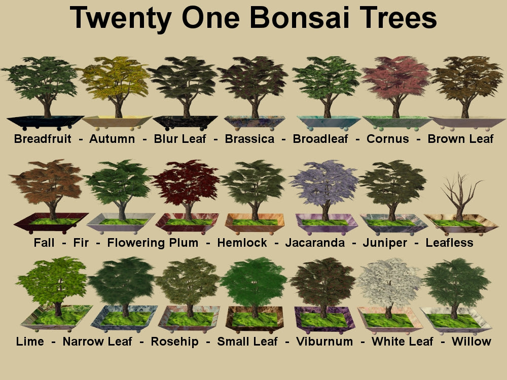 Mod The Sims - New Bonsai Tree for your game!