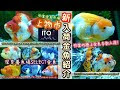 【ベストコレクション】 金魚 値段 高級 323881