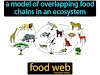 Food Chain Definition Ecology