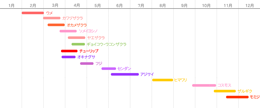 県立秦野戸川公園 開花情報